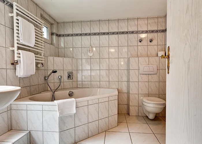 كوليناريوم آن دير جليمس 3* غيرلينغن