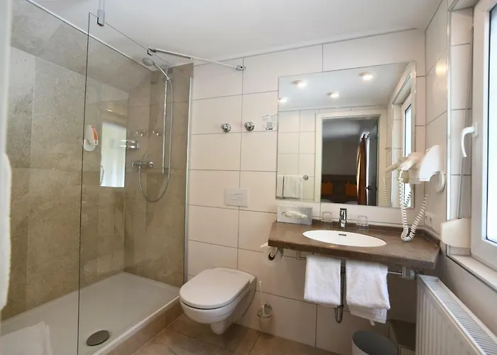 كوليناريوم آن دير جليمس فندق غيرلينغن