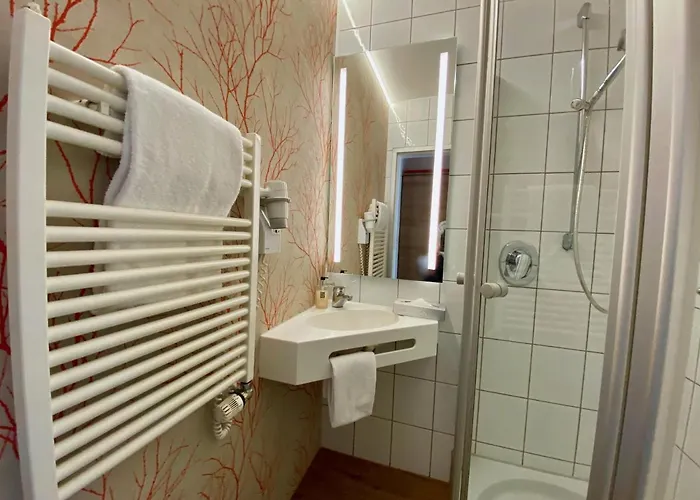 فندق كوليناريوم آن دير جليمس غيرلينغن